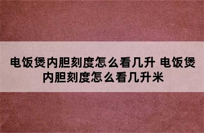 电饭煲内胆刻度怎么看几升 电饭煲内胆刻度怎么看几升米